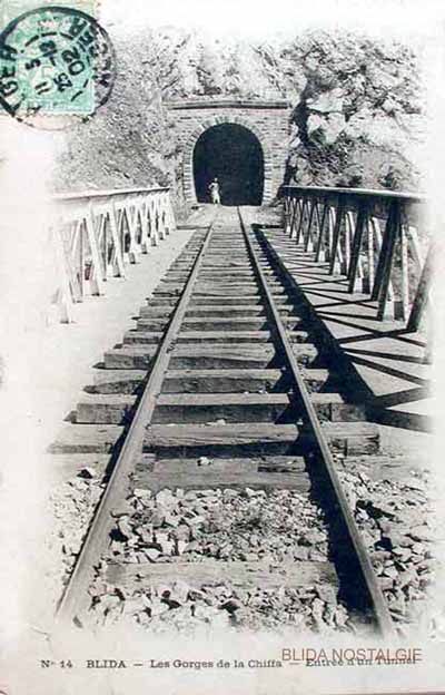 chiffa-tunnel.jpg