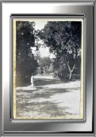 bizot-5aout1895.jpg