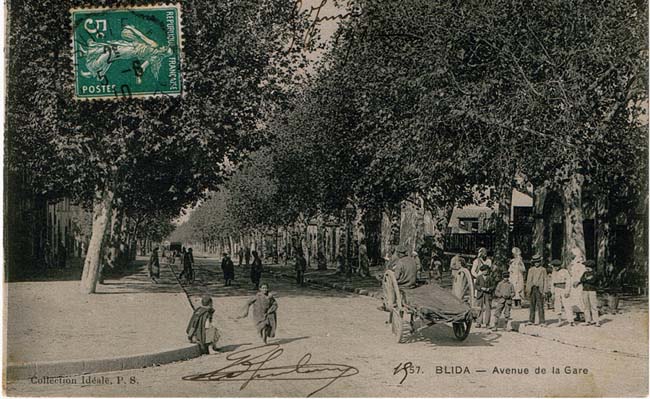 Avenue de la gare  Blida