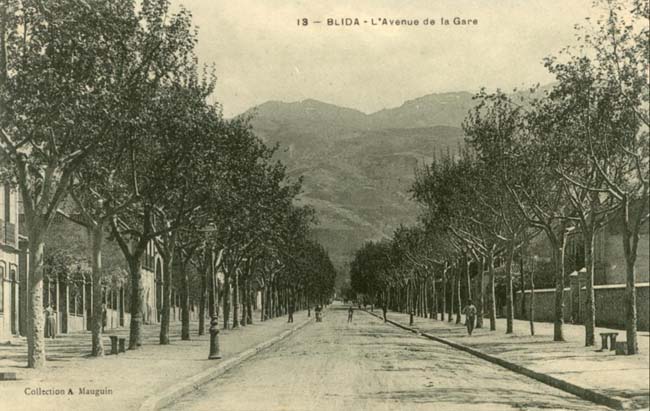 Avenue de la gare  Blida